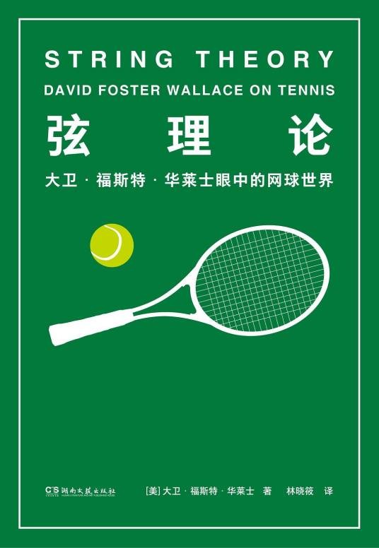 弦理论（2019年湖南文艺出版社出版的图书）