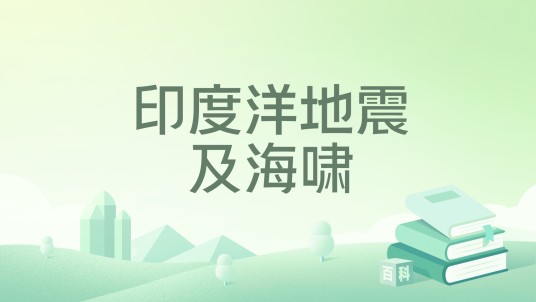 印度洋地震及海啸