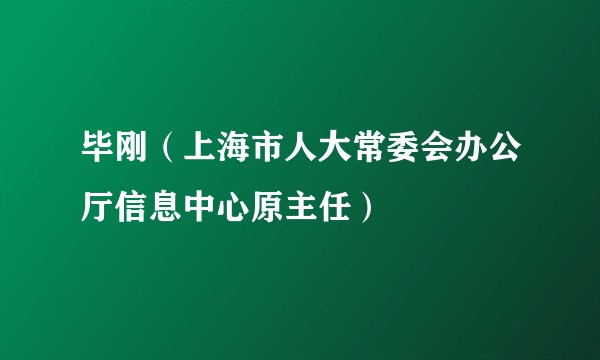 毕刚（上海市人大常委会办公厅信息中心原主任）
