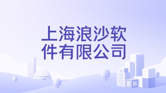 上海浪沙软件有限公司