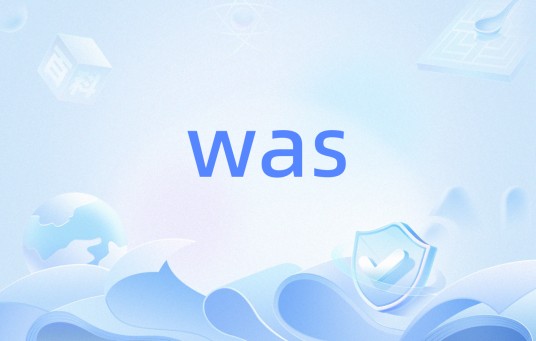 was（web应用程序的安全服务）