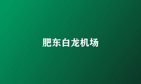 肥东白龙机场
