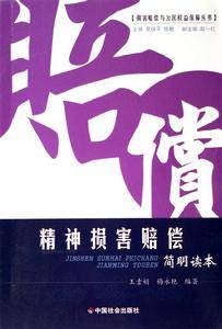 精神损害赔偿