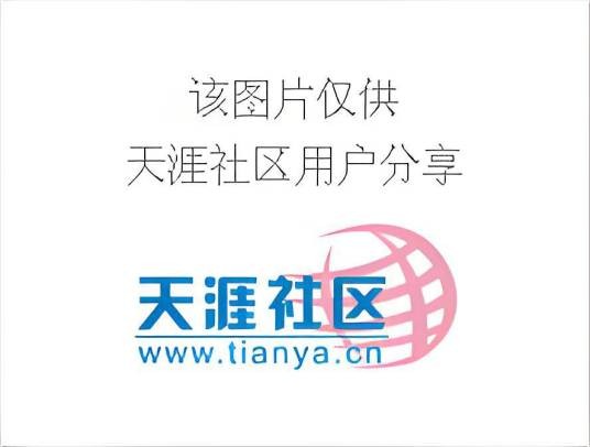 命运的棋子