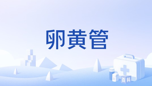 卵黄管