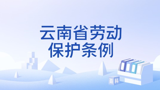 云南省劳动保护条例