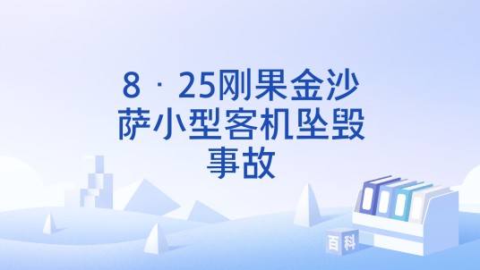 8·25刚果金沙萨小型客机坠毁事故