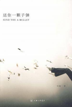 送你一颗子弹（2010年上海三联书店出版的图书）