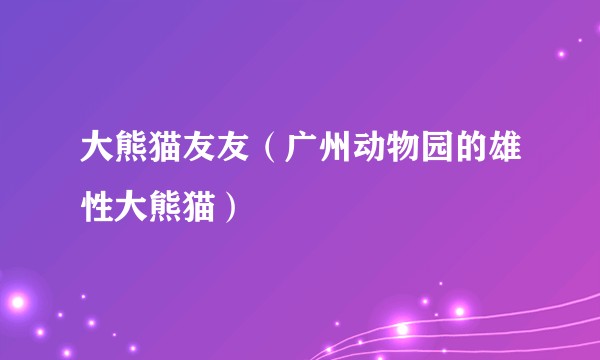 大熊猫友友（广州动物园的雄性大熊猫）