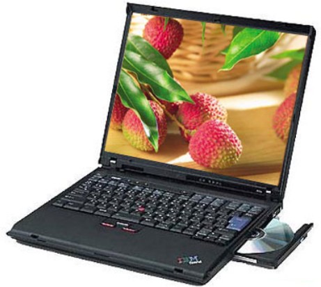 IBM ThinkPad R50E 1834MMC