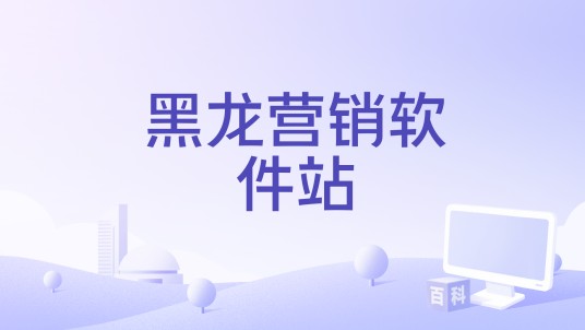 黑龙营销软件站