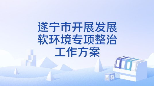 遂宁市开展发展软环境专项整治工作方案