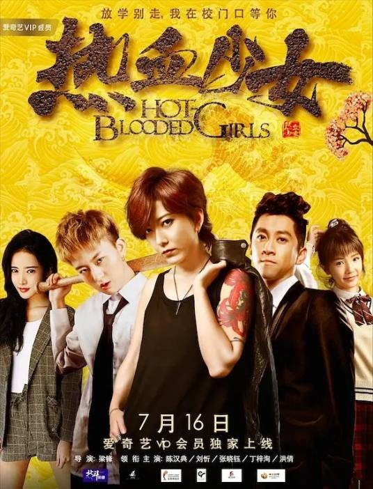 热血少女（2017年刘忻、张晓钰主演电影）