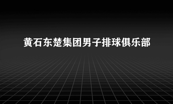 黄石东楚集团男子排球俱乐部
