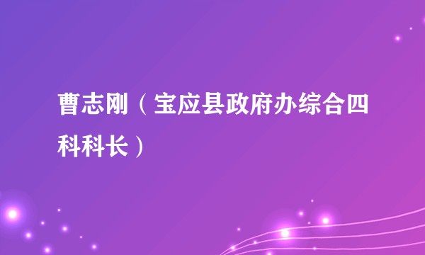 曹志刚（宝应县政府办综合四科科长）
