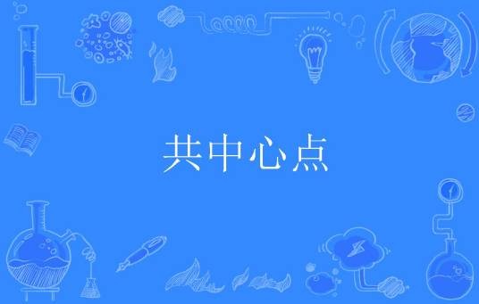 共中心点