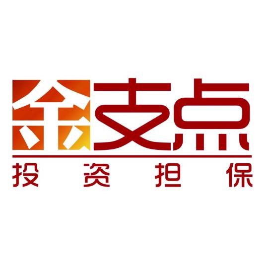 河南金支点投资担保有限公司