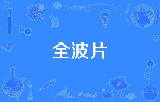 全波片