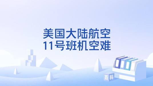 美国大陆航空11号班机空难