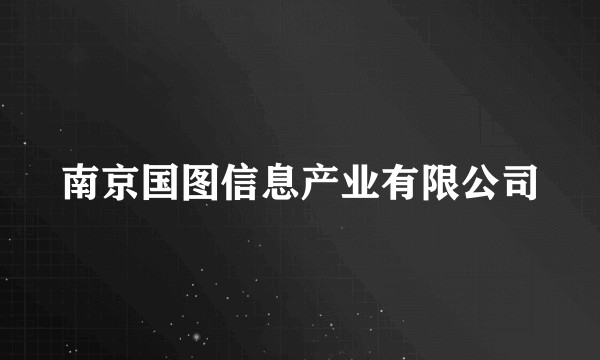 南京国图信息产业有限公司