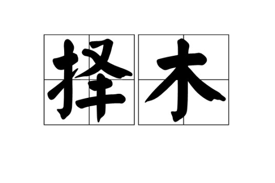 择木