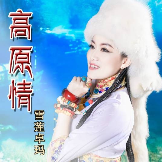 高原情（雪莲卓玛演唱的歌曲）