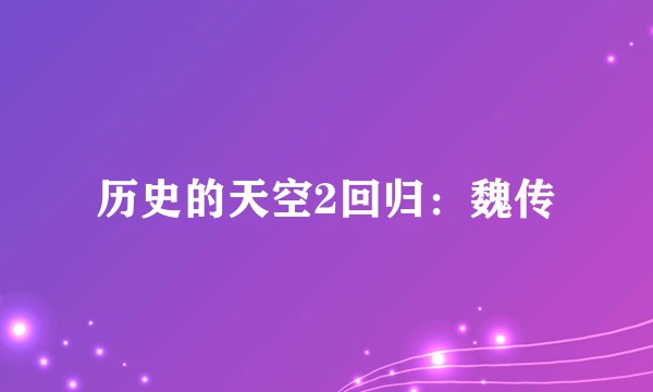 历史的天空2回归:魏传