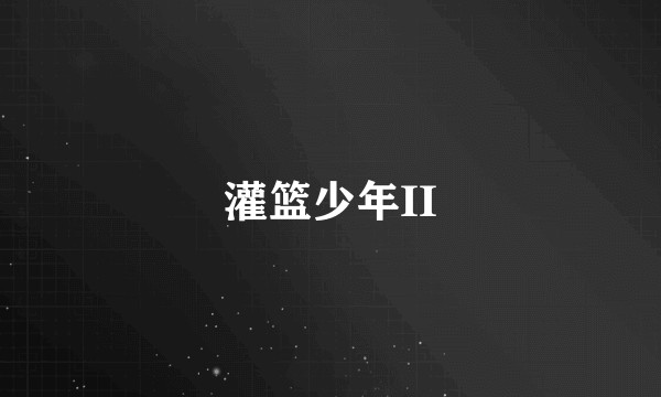 灌篮少年II