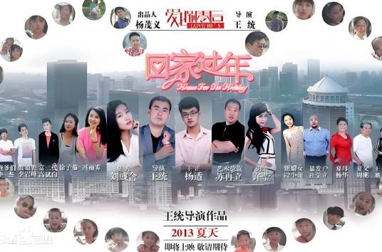 回家过年（2013年王统执导的喜剧电影）