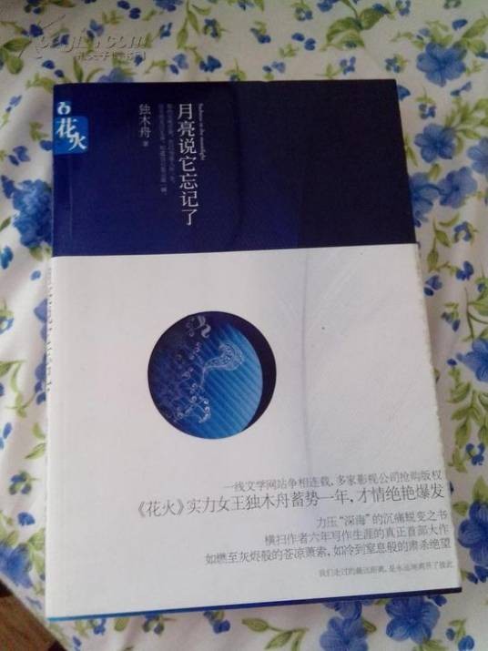 月亮说它忘记了