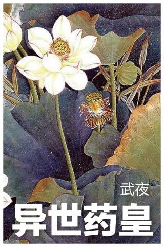 异世药皇