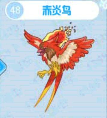 赤炎鸟