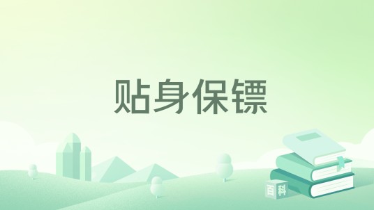 贴身保镖（会飞的皮卡丘著网络小说）