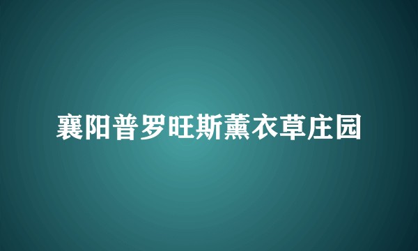 襄阳普罗旺斯薰衣草庄园