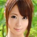 樱花莉莉