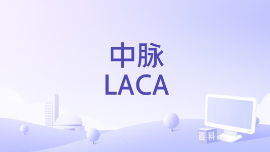 中脉LACA