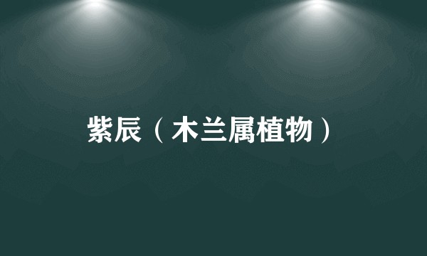 紫辰（木兰属植物）