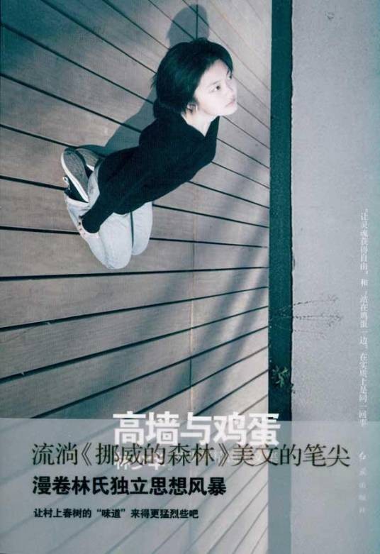 高墙与鸡蛋（2011年红旗出版社出版的图书）