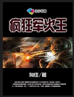 疯狂军火王