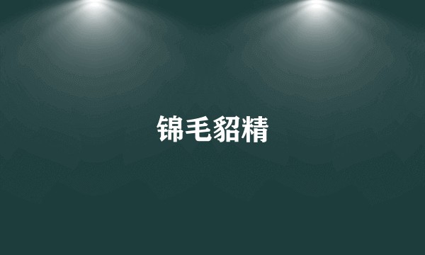 锦毛貂精