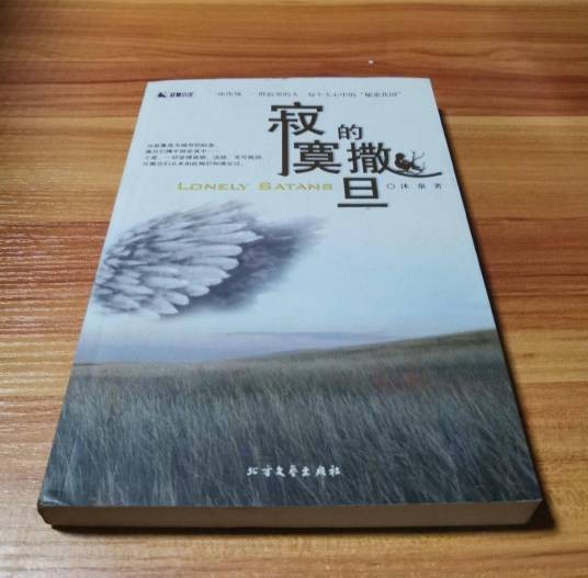 寂寞的撒旦