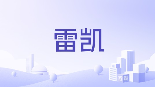 雷凯（投资咨询公司）