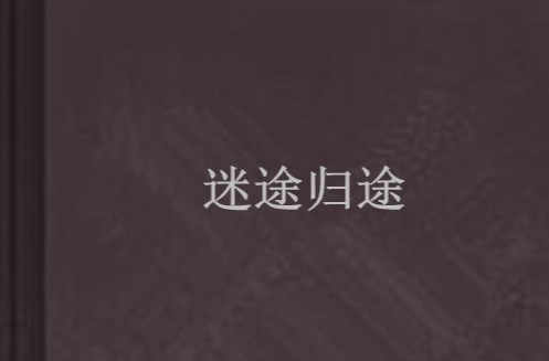 迷途归途