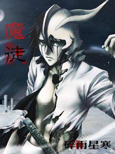 魔徒（碎雨星寒创作的网络小说）