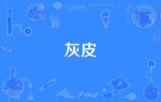 灰皮