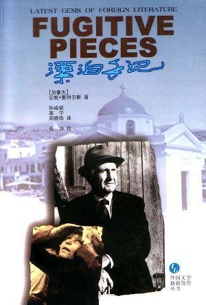 漂泊手记（1998年译林出版社出版的图书）