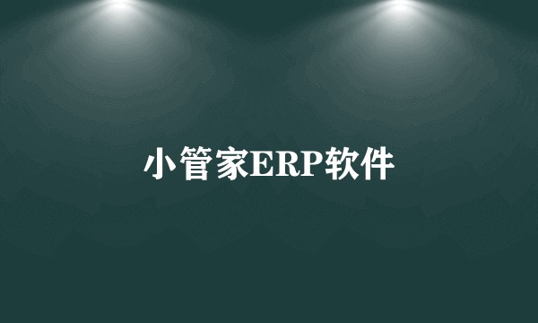 小管家ERP软件
