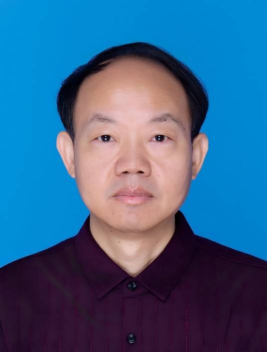 熊万里（湖南大学机械与运载工程学院教授）