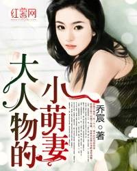 大人物的小萌妻（乔宸所写的网络小说）