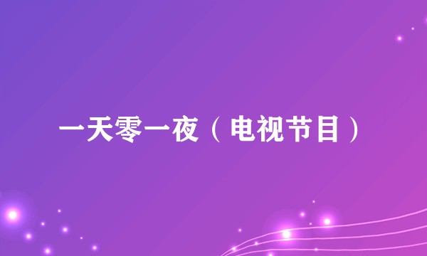 一天零一夜（电视节目）